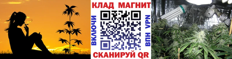Купить наркотики сайты Подольск Гашиш  Псилоцибиновые грибы  Меф мяу мяу  АМФЕТАМИН  МАРИХУАНА  Cocaine 