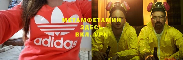 гашик Алексин