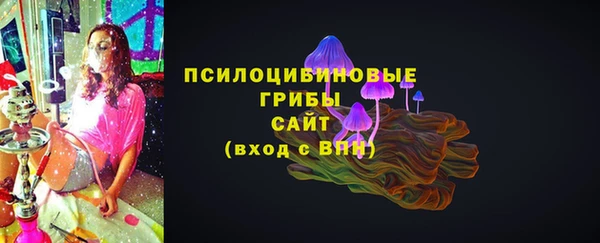 гашик Алексин