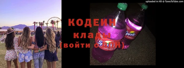 гашик Алексин
