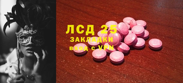 гашик Алексин