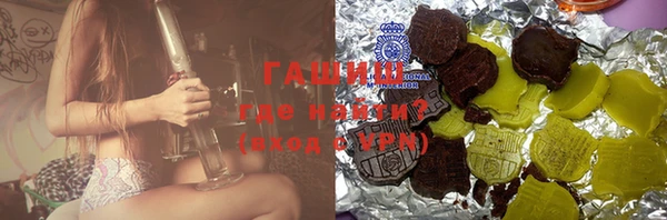 гашик Алексин