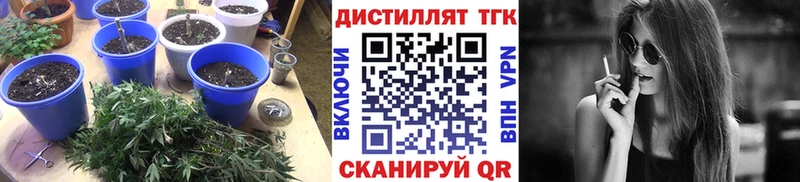 ТГК THC oil  Подольск 