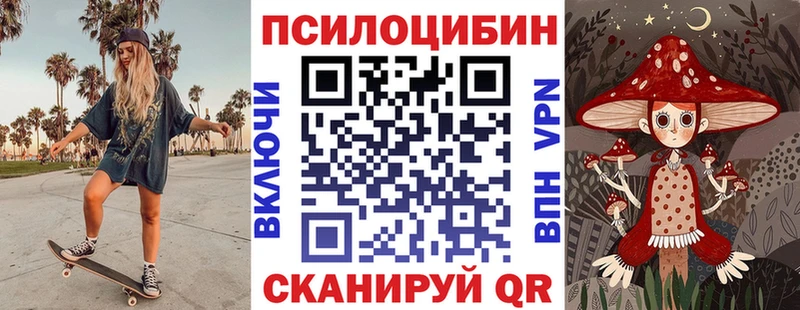 Псилоцибиновые грибы мицелий где можно купить Подольск